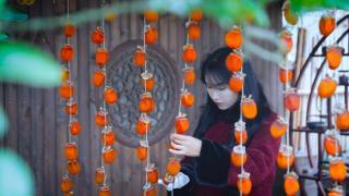 李子柒古香古食 愿一串串的红柿子给大家带来新一年的柿柿顺心