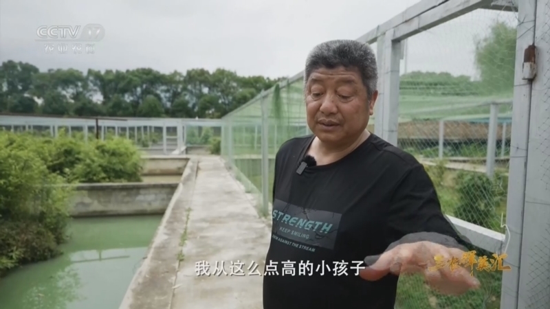《三农群英汇》 20260524 扬子鳄的“守护神”