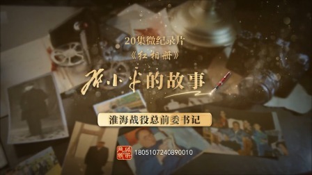 红相册&bull;邓小平的故事 淮海战役总前委书记