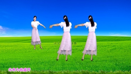 流行DJ广场舞及教学 第三季 广场舞《我从草原来》32步，正背面演示+分解