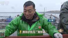 致富经 [致富经]贪玩小伙儿“变形记” 20190130