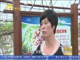 广西新闻 《广西新闻》 20170924