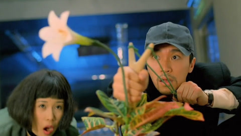 好莱坞影厅 周星驰恐怖片回魂夜