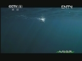 人与自然 《人与自然》 20130319 自然发现 冰雪融化（下）