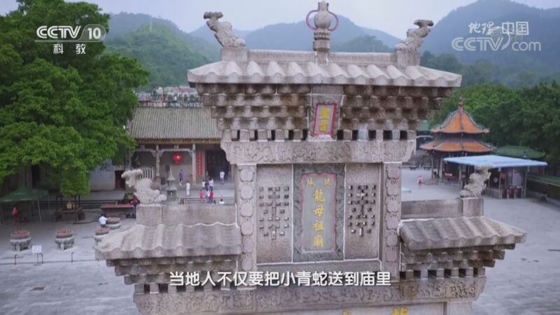 地理中国 《地理·中国》 20201103 奇特的山谷·鼎湖秘境