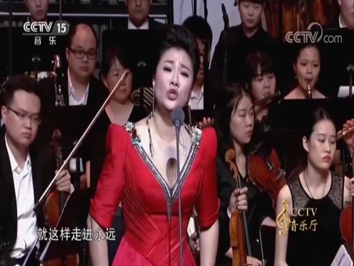 CCTV音乐厅 《CCTV音乐厅》 20181029 “用歌声追梦”王丽达音乐会（下）