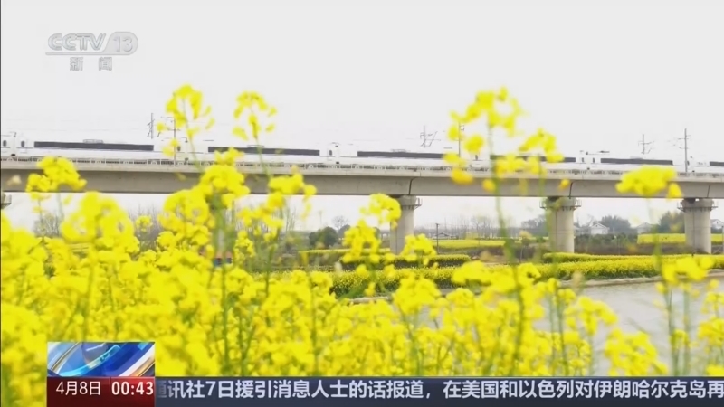 《午夜新闻》 20260408