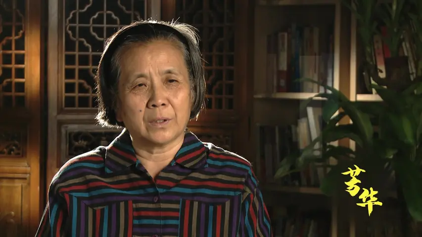 《芳华 与时代同行的女性》第3集