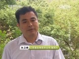 走近科学 《走近科学》 20150715 天龙山的神秘来客