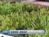 晚间报道 《晚间报道-内蒙古》 20170415