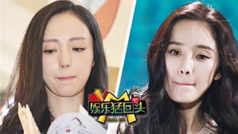 娱乐猛回头 杨幂做慈善造假？
