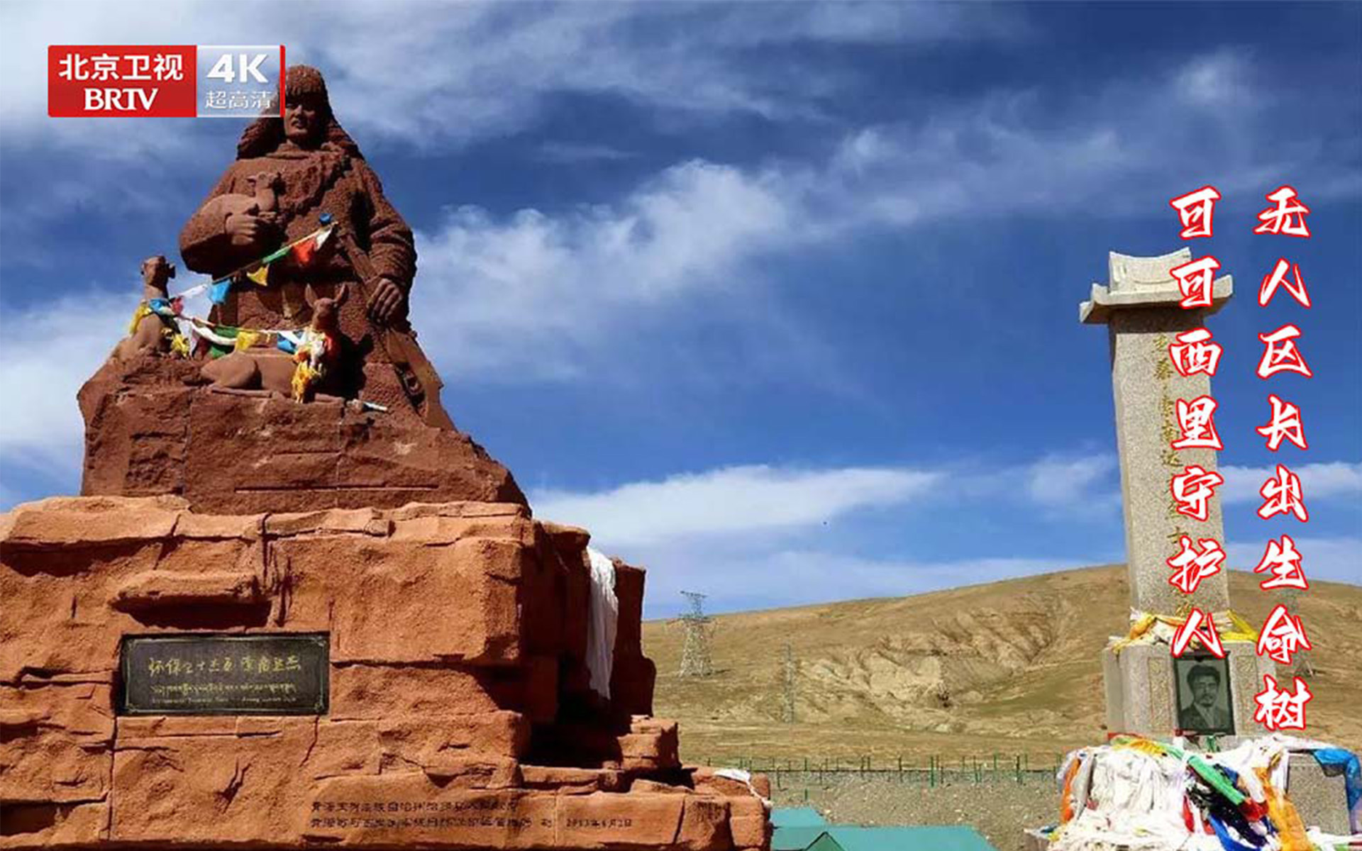 无人区长出生命树—可可西里守护人