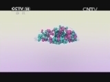 智慧树 《智慧树》 20140326