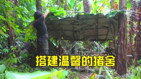 原始丛林人苏门答腊 第二季 东南亚丛林荒野求生，为萌宠搭建温馨庇护所！