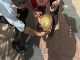 我爱发明 《我爱发明》 20170518 开椰利器