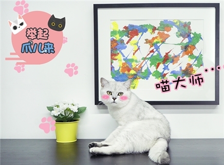 举起爪儿来 猫主子变艺术家