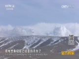 远方的家 《远方的家》长城内外 第186集 追寻天鹅的足迹 20160711