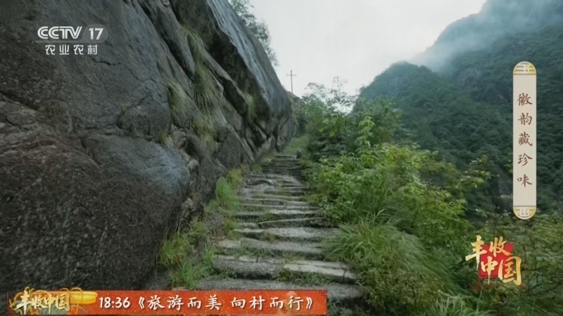 《谁知盘中餐》 20260922 乡野寻鲜 徽韵藏珍味