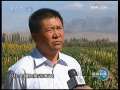 新闻联播 新疆喀什地区夏粮喜获丰收