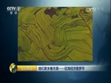 生财有道 《生财有道》 20170412 咱们家乡春天美——花海经济看罗平