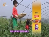 中国少年派 《中国少年派》 20150926