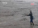 快乐体验 《快乐体验》 20180531 探秘红树林