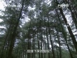 地理中国 《地理中国》 “天眼”奥秘·吞天陷阱（上）20150508