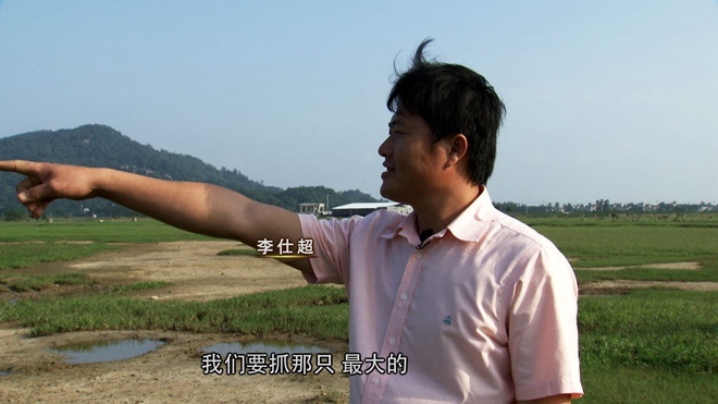 致富经 [致富经]岩石上跳跃的“黑色”财富 20180412
