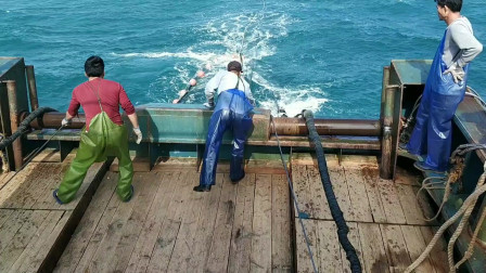 南澳岛赶海日记 这才叫赶海，这价值几百万的铁船这样赶海的，一网上来一大堆鱿鱼，干的漂亮