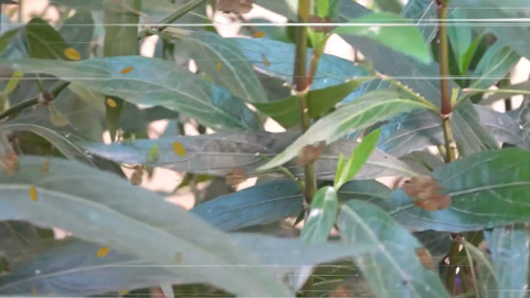 工程车玩具城市 第2季 电闪雷鸣