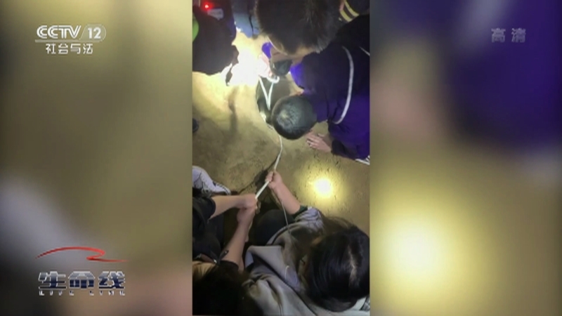 《生命线》 20210704