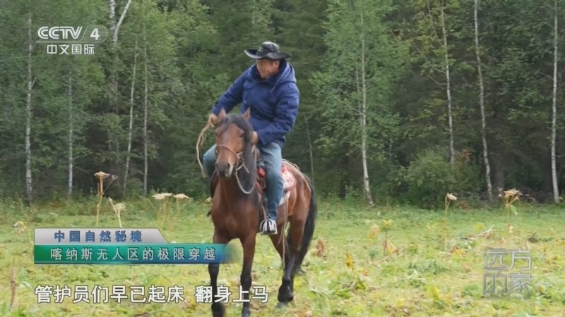 远方的家 《远方的家》 20260619 中国自然秘境 喀纳斯无人区的极限穿越