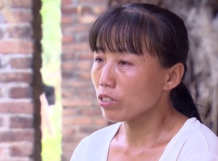 寻情记 小矮人妈妈和她的三朵金花