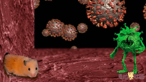小仓鼠对抗小怪物