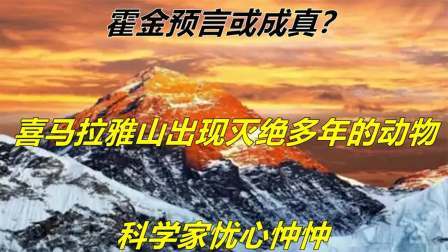 科普足迹