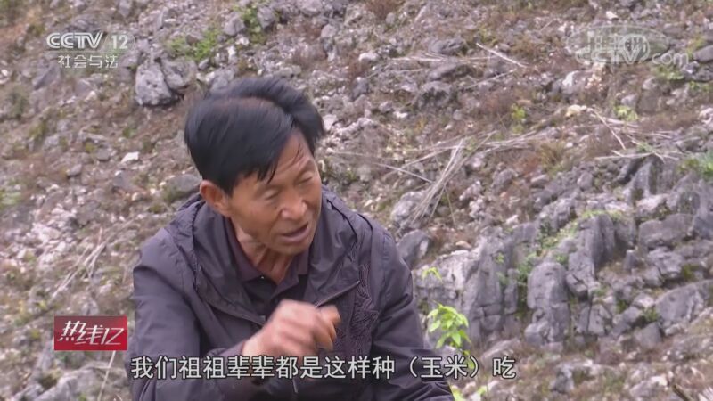热线12 《热线12》 20201008 不负韶华不负村 好物合作社上新了——云南西畴 石上花开