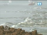 焦点访谈 《焦点访谈》 20170223 科学抗洪水 同心筑防线