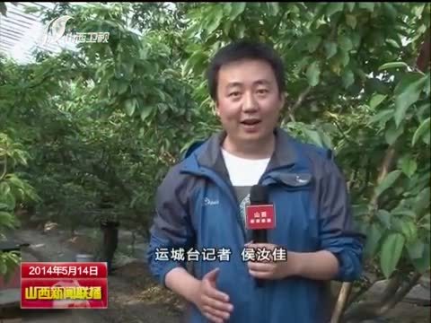 山西新闻联播 《山西新闻联播》 20140514