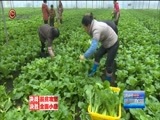 贵州新闻联播 《贵州新闻联播》 20180111