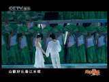 风华国乐 风华国乐 2010年 第248期