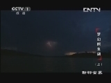 动物世界 《动物世界》 20131002 梦幻鳄鱼湖（上）