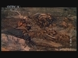 《发现之路》 20110508 《火墓贵妇》 第二集