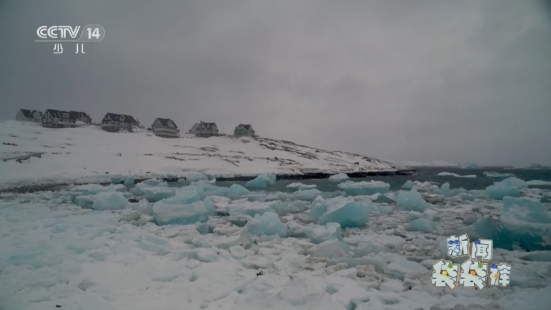 《新闻袋袋裤》 20260325