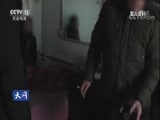 天网 《天网》 20180521 触目惊心