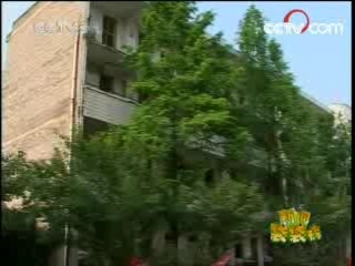新闻袋袋裤 新闻袋袋裤 2008年 第178期