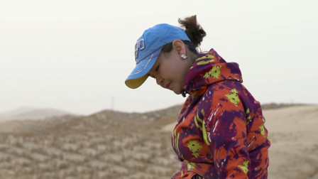 植树治沙14年，这个新疆美女堪称“沙漠玫瑰”