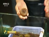 生财有道 《生财有道》 20170809 生态中国系列（沿海行）——浙江定海的生财山海经