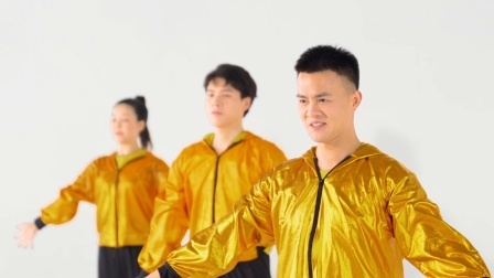 别再问我什么是迪斯科—毕刚（导视）