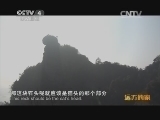 远方的家 百山百川行 第二百零八集 丹霞泰宁 新韵古城《远方的家》 20140218