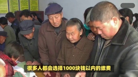 财产经济每日分享第十季 农村养老保险每年交5000元，15年后，可以领多少养老金？
